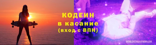 ПСИЛОЦИБИНОВЫЕ ГРИБЫ Вяземский