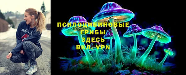 ПСИЛОЦИБИНОВЫЕ ГРИБЫ Вяземский